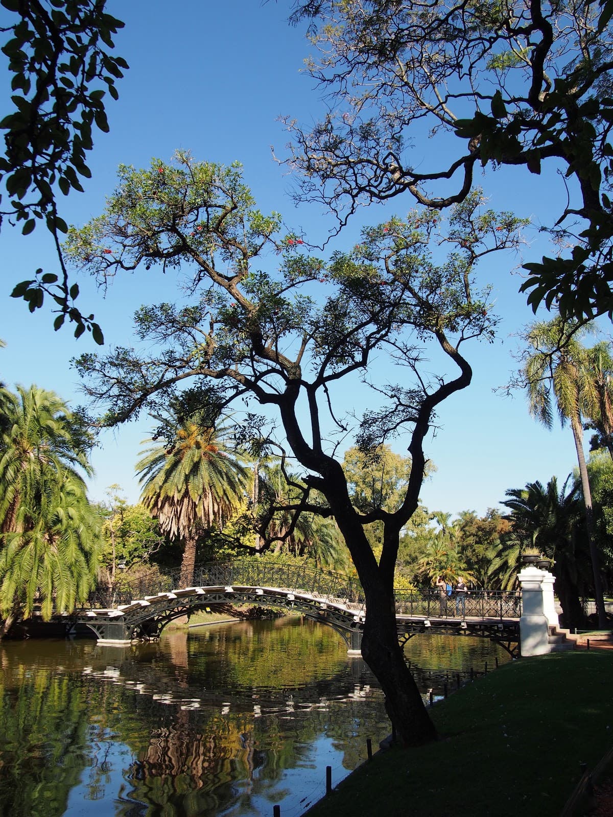 Let's Hear it for the Rainbow Tour!